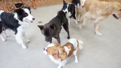 DSC01417.JPG