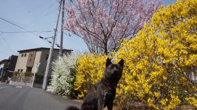 DSC01426.JPG