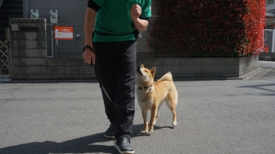 DSC01449.JPG