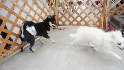 DSC01469.JPG