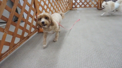 DSC01474.JPG