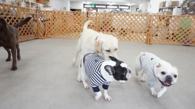 DSC01484.JPG