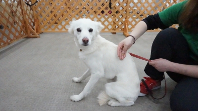 DSC01524.JPG