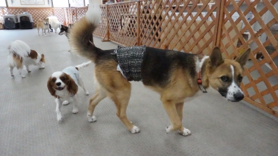 DSC01537.JPG
