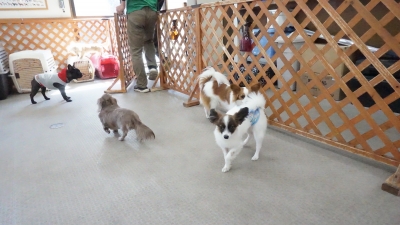 DSC01551.JPG