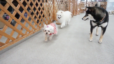 DSC01552.JPG