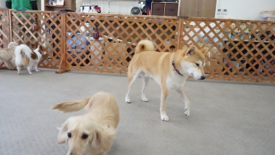 DSC01554.JPG