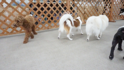 DSC01557.JPG
