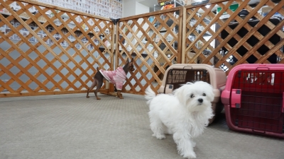 DSC01664.JPG