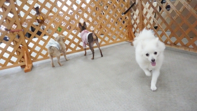 DSC01678.JPG