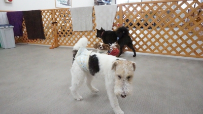 DSC01748.JPG