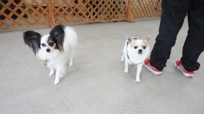 DSC01756.JPG