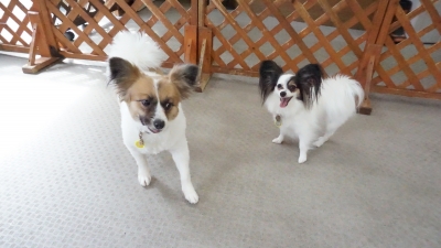 DSC01757.JPG