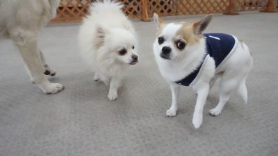 DSC01776.JPG