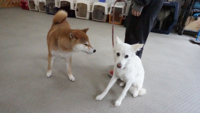 DSC01780.JPG