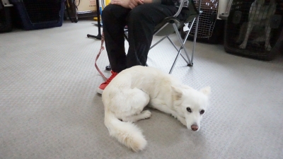 DSC01784.JPG