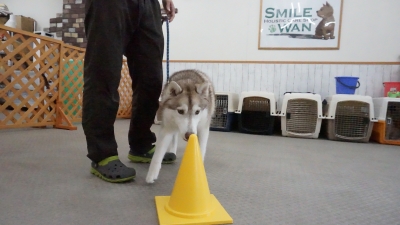 DSC01792.JPG
