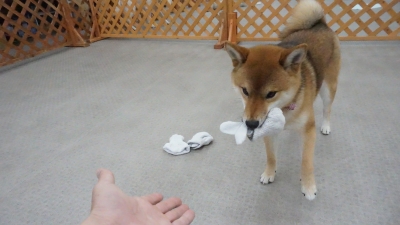 DSC01811.JPG