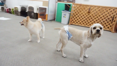 DSC02010.JPG