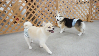 DSC02015.JPG