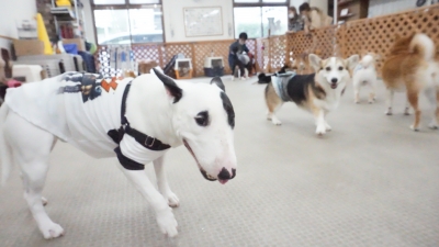DSC02037.JPG