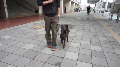 DSC02049.JPG