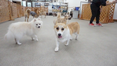 DSC02063.JPG