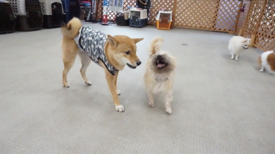 DSC02065.JPG