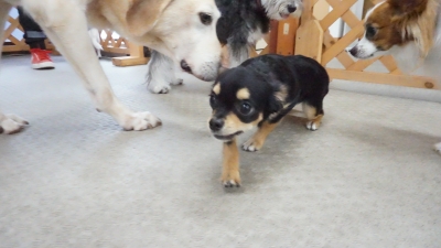 DSC02076.JPG