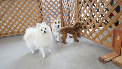 DSC02084.JPG