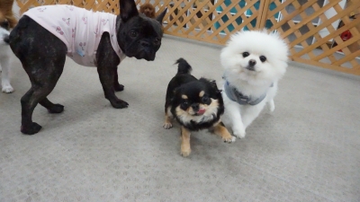 DSC02090.JPG