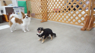 DSC02097.JPG
