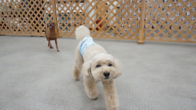 DSC02123.JPG