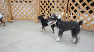 DSC02127.JPG