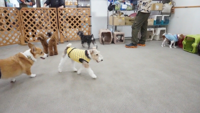 DSC02134.JPG