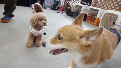 DSC02146.JPG