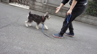 DSC02404.JPG