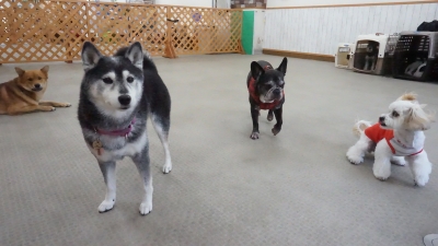 DSC02445.JPG