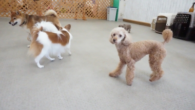 DSC02458.JPG