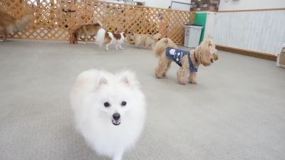 DSC02479.JPG