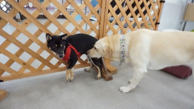 DSC02480.JPG