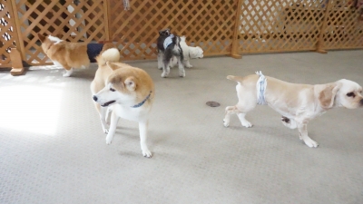 DSC02593.JPG
