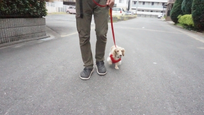 DSC02671.JPG