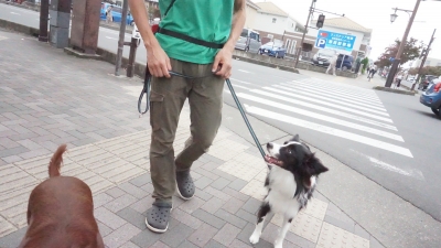 DSC02676.JPG