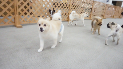 DSC02679.JPG