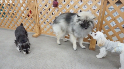 DSC03144.JPG
