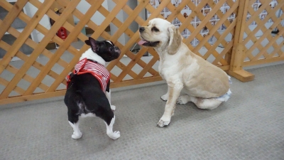 DSC03235.JPG