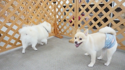 DSC03260.JPG