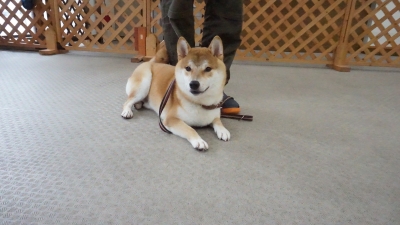 DSC03290.JPG
