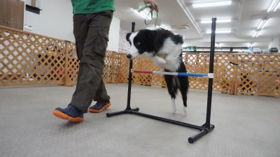 DSC03306.JPG